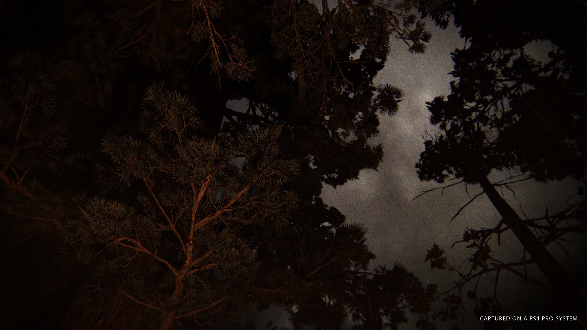 The Last of Us: Parte II - Imagen 50